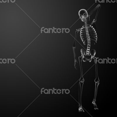 3d render Skeleton X-rays 