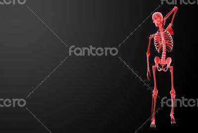 3d render Skeleton X-rays 