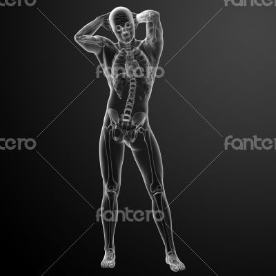 Human in x-ray view