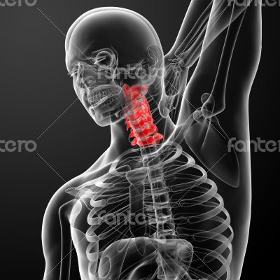 3d rendered illustration - pain neck 3d rendered illustration - pain neck