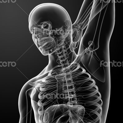 3d rendered illustration - pain neck 3d rendered illustration - pain neck