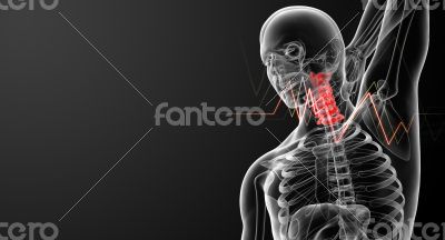 3d rendered illustration - pain neck