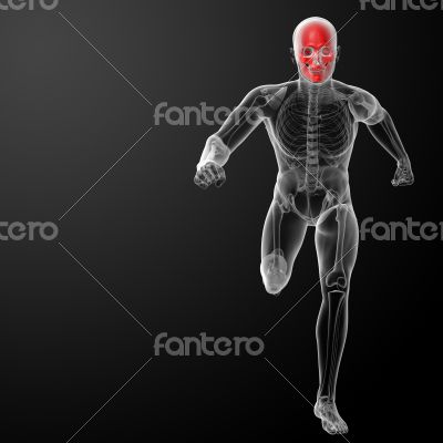 Human skull X ray in red 