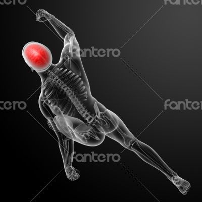 Human skull X ray in red