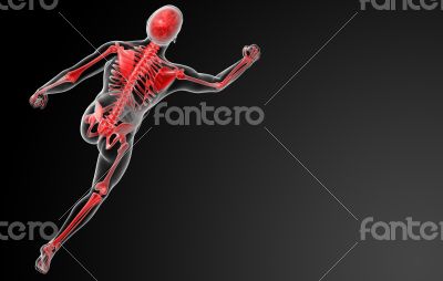 running skeleton by X-rays in red 