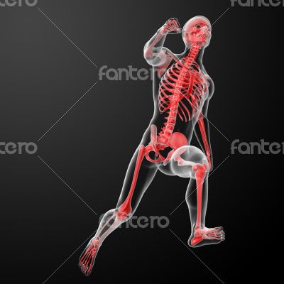 Running human anatomy by X-rays in red 
