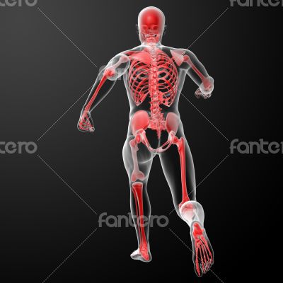Running skeleton by X-rays in red