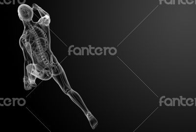 Running human anatomy by X-rays 
