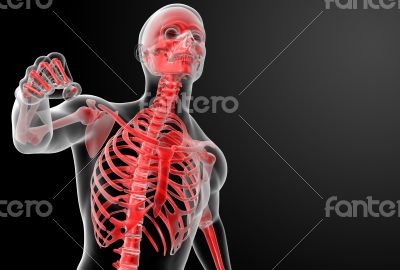 Running skeleton by X-rays in red 
