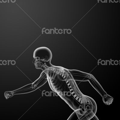 Running skeleton by X-rays