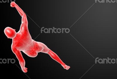 Running human anatomy by X-rays in red