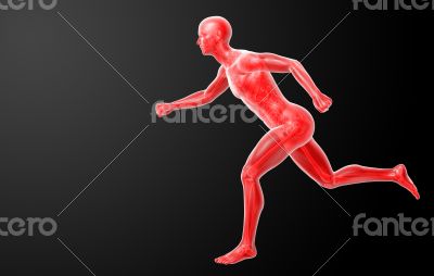 Running human anatomy by X-rays in red 