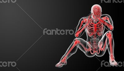 Red skeleton