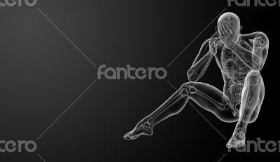 3d render Human anatomy - front view