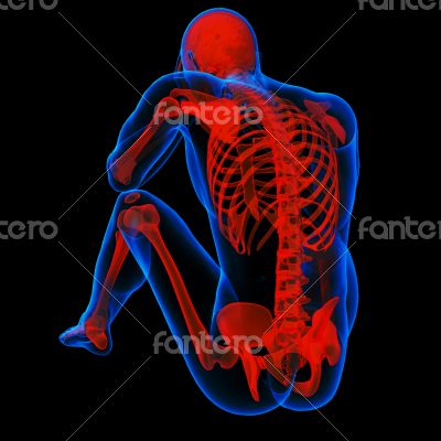 3d render illustration of the Skeleton 