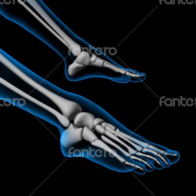 Human foot pain with the anatomy of a  foot