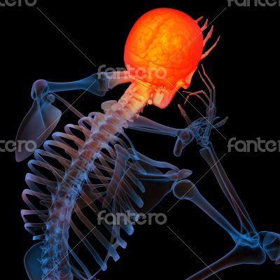pain head pain head