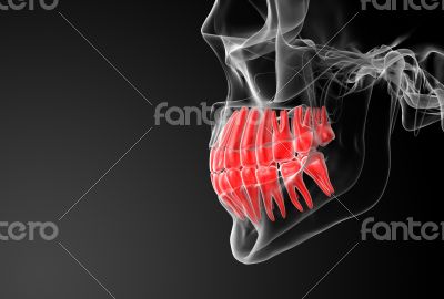 Skull with visible red teeth
