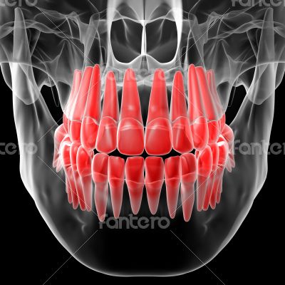 Skull with visible red teeth