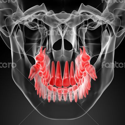Skull with visible red teeth 