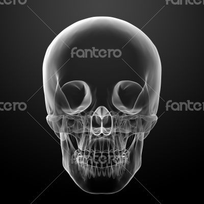 3d render skull on black background