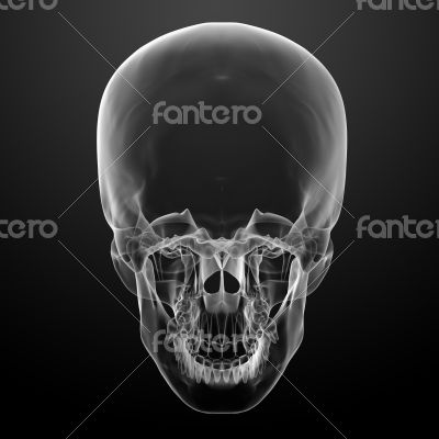 3d render skull on black background 