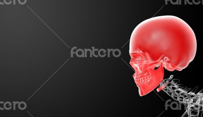 3d render skull on black background