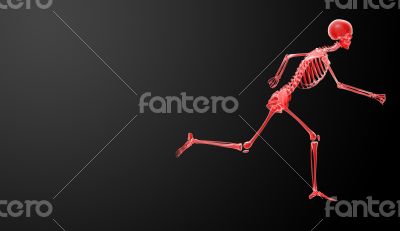 Running skeleton by X-rays in red