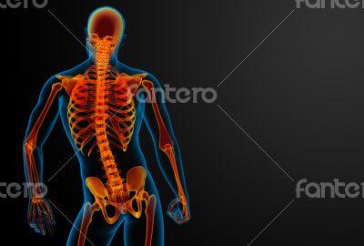 3d rendered red skeleton