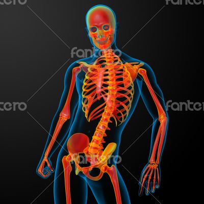 3d rendered red skeleton