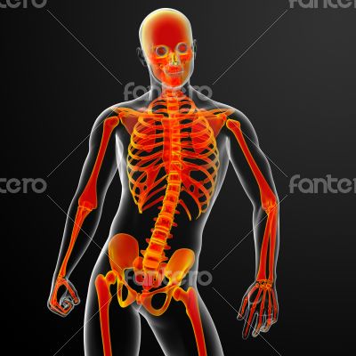 3d rendered red skeleton
