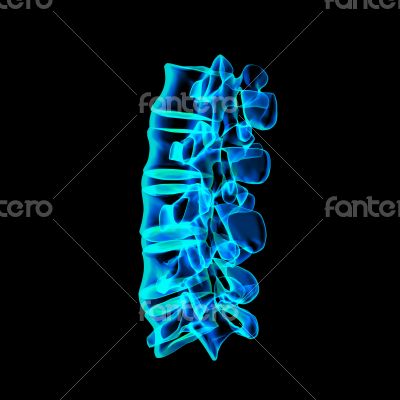 Human with the backbone