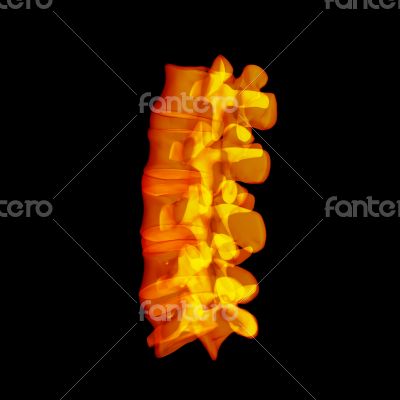 Human with the backbone Human with the backbone