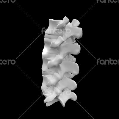 Human with the backbone Human with the backbone