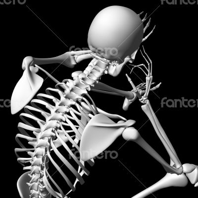 3d rendered white skeleton 3d rendered white skeleton