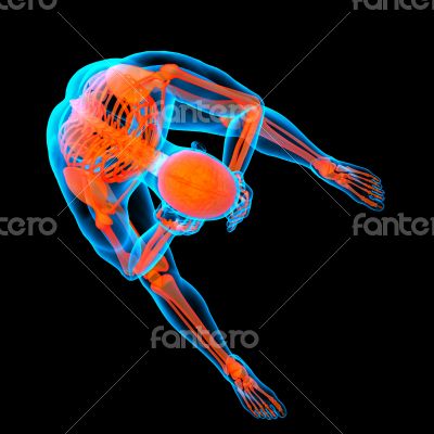 3d rendered red skeleton of a sitting 