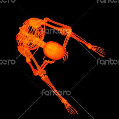 3d rendered red skeleton of a sitting