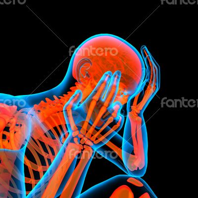 3d rendered red skeleton of a sitting - side view 3d rendered red skeleton of a sitting - side view