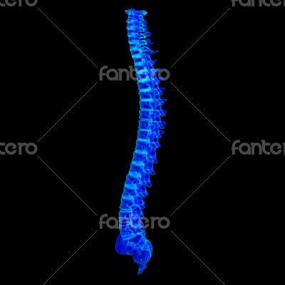 3d render blue spine