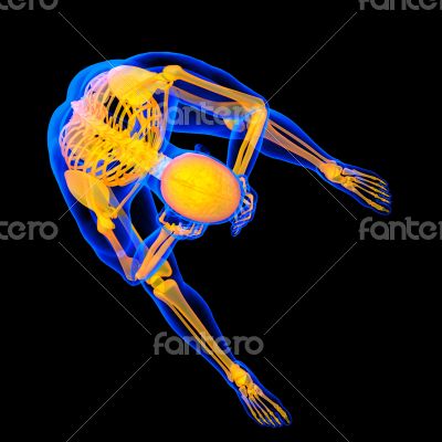 3d render yellow skeleton of a sitting 