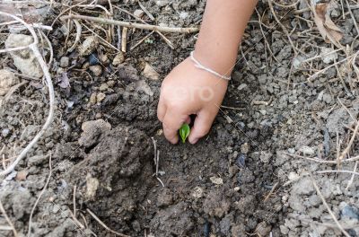 Protect the environment