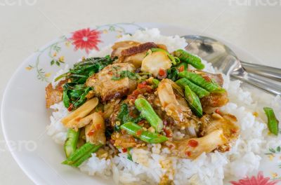Pork spicy basil sauce with rice.