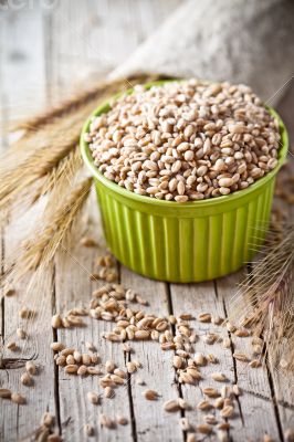 wheat grain in bowl and ears