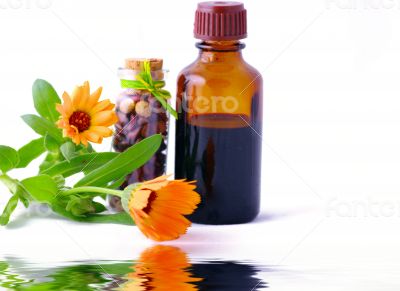 Herbal medicine with herbs with place gor text. Isolated white b
