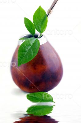 Isolated Leather Mate Cup with Straw and yerba green leafs