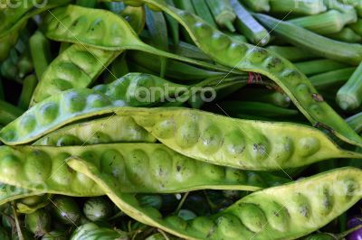 ASIA THAILAND PHUKET MARKT ASIA THAILAND PHUKET MARKT