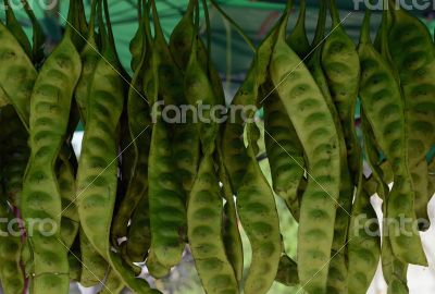 ASIA THAILAND PHUKET MARKT ASIA THAILAND PHUKET MARKT