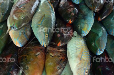 ASIA THAILAND PHUKET MARKT ASIA THAILAND PHUKET MARKT