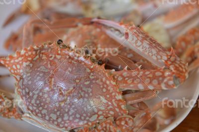 ASIA THAILAND PHUKET MARKT ASIA THAILAND PHUKET MARKT