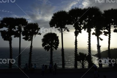 ASIA THAILAND PHUKET RAWAI ASIA THAILAND PHUKET RAWAI